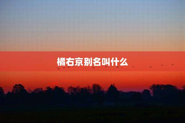 橘右京别名叫什么