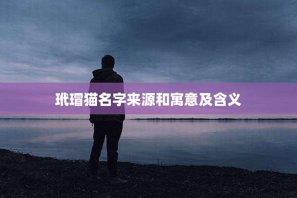 玳瑁猫名字来源和寓意及含义