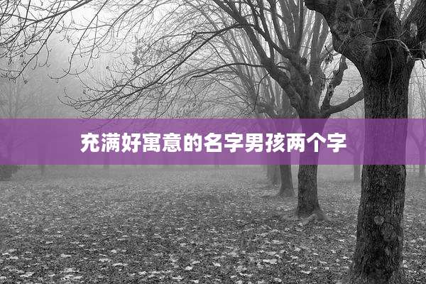 充满好寓意的名字男孩两个字