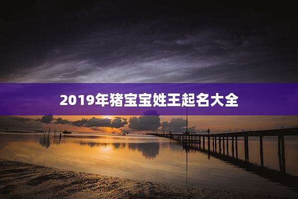 2019年猪宝宝姓王起名大全