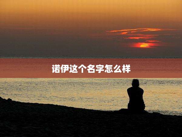 诺伊这个名字怎么样