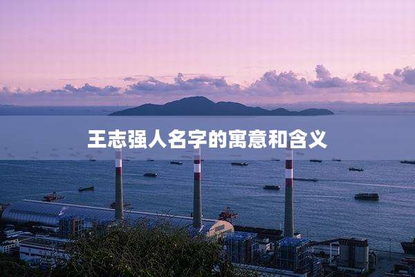 王志强人名字的寓意和含义