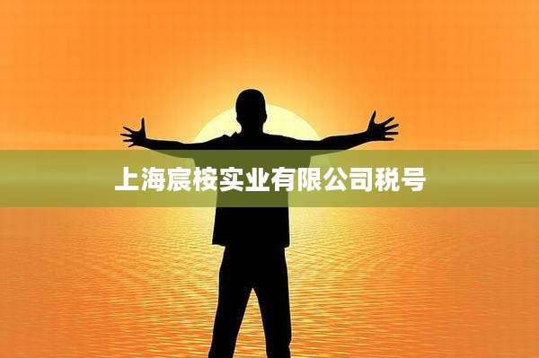 上海宸桉实业有限公司税号