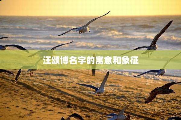 汪颂博名字的寓意和象征