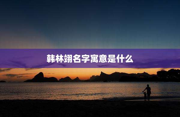 韩林翊名字寓意是什么