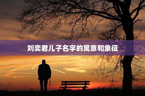 刘奕君儿子名字的寓意和象征