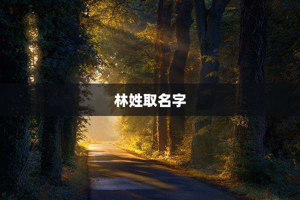 林姓取名字