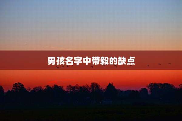 男孩名字中带毅的缺点