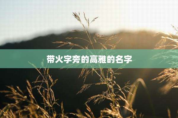 带火字旁的高雅的名字
