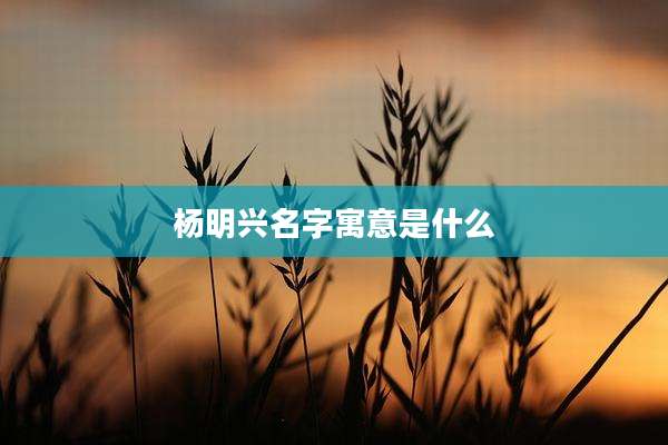 杨明兴名字寓意是什么