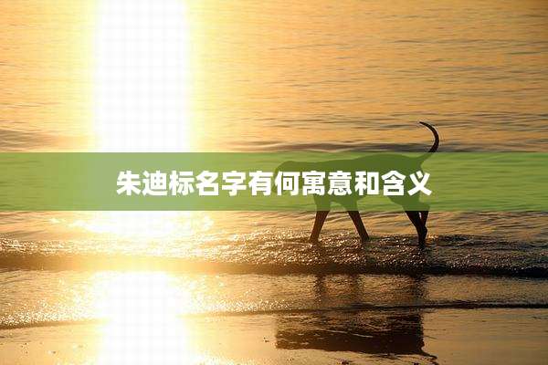 朱迪标名字有何寓意和含义