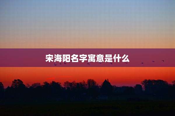 宋海阳名字寓意是什么