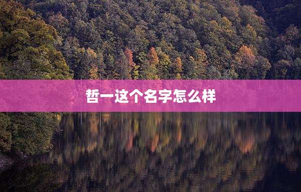 哲一这个名字怎么样