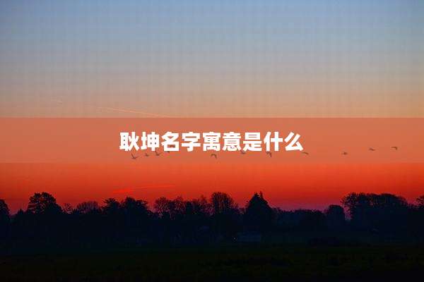 耿坤名字寓意是什么