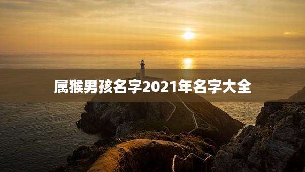 属猴男孩名字2021年名字大全
