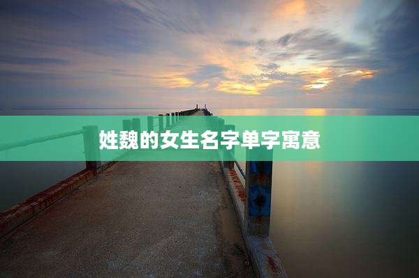 姓魏的女生名字单字寓意