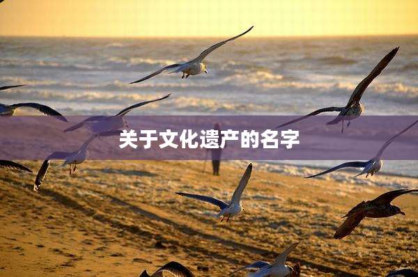 关于文化遗产的名字