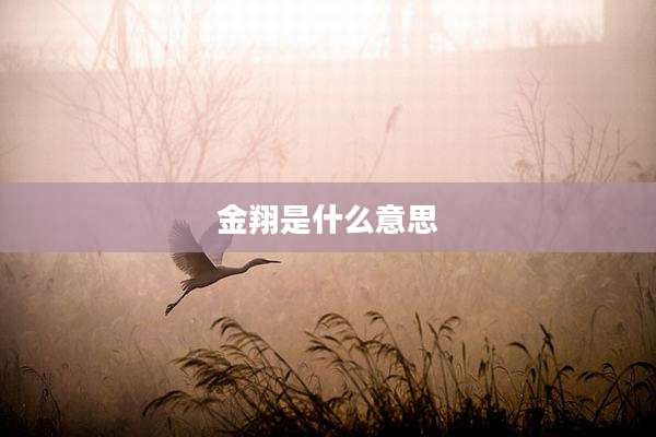 金翔是什么意思