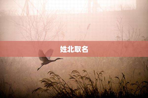 姓北取名