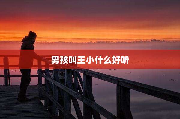 男孩叫王小什么好听