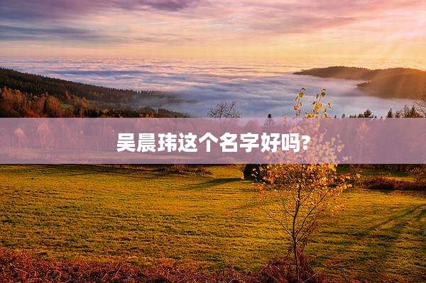 吴晨玮这个名字好吗?