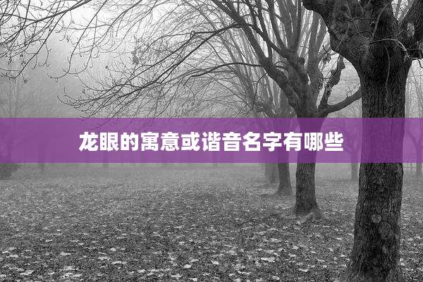 龙眼的寓意或谐音名字有哪些
