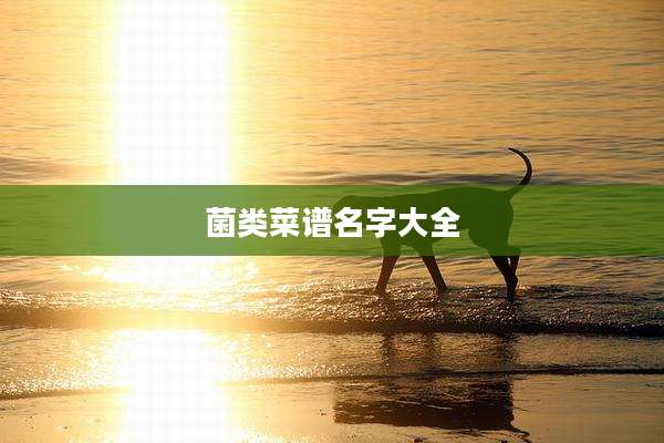 菌类菜谱名字大全