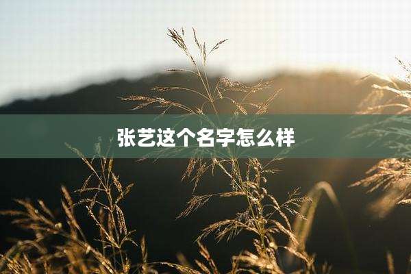 张艺这个名字怎么样