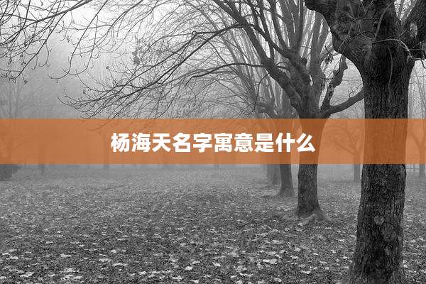 杨海天名字寓意是什么