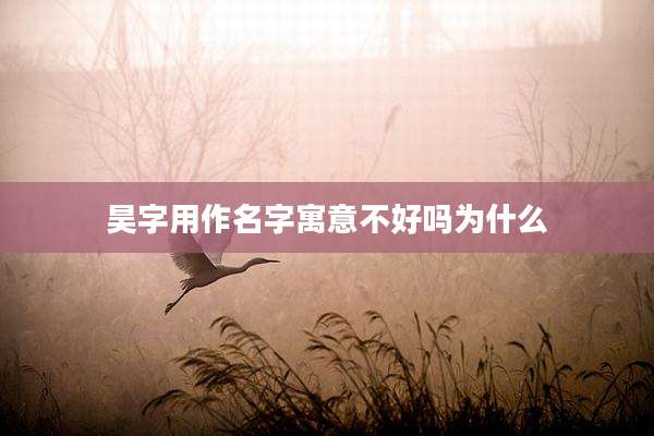 昊字用作名字寓意不好吗为什么
