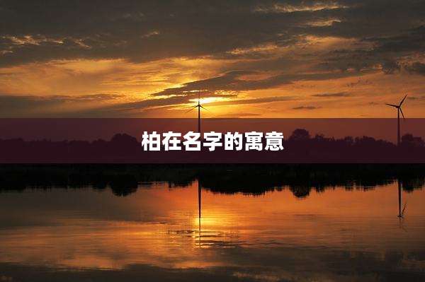 柏在名字的寓意