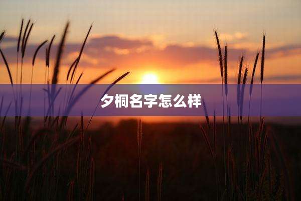 夕桐名字怎么样