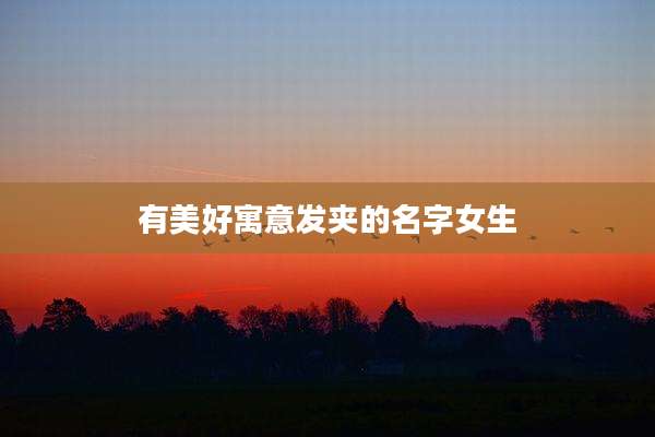 有美好寓意发夹的名字女生