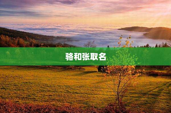 骆和张取名