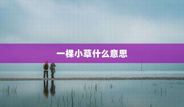 一棵小草什么意思