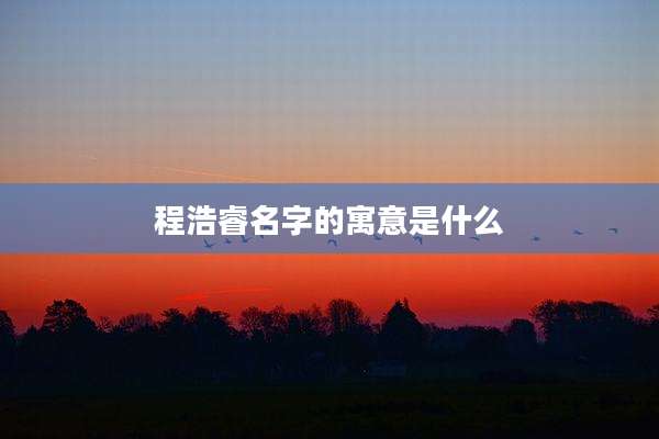 程浩睿名字的寓意是什么