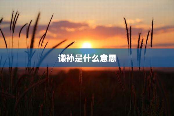 谦孙是什么意思