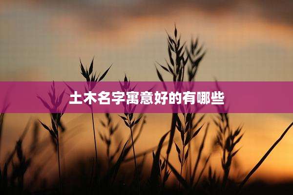 土木名字寓意好的有哪些