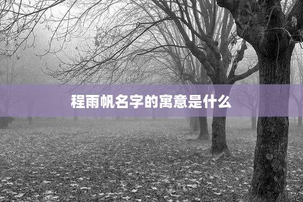 程雨帆名字的寓意是什么