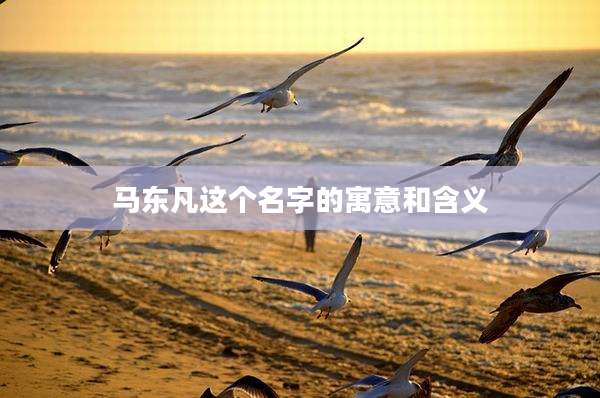 马东凡这个名字的寓意和含义