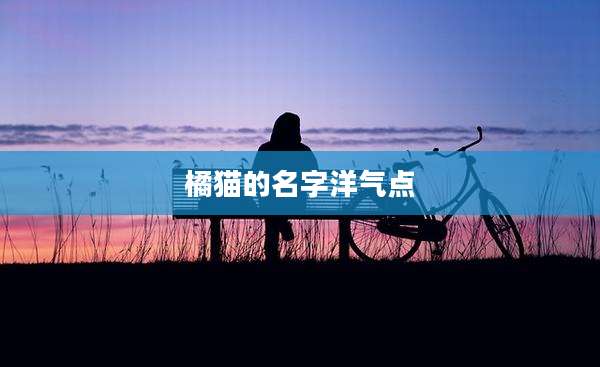 橘猫的名字洋气点