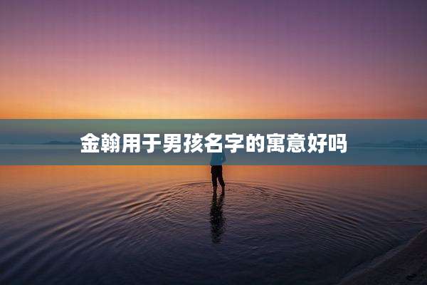 金翰用于男孩名字的寓意好吗
