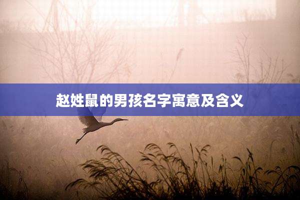 赵姓鼠的男孩名字寓意及含义