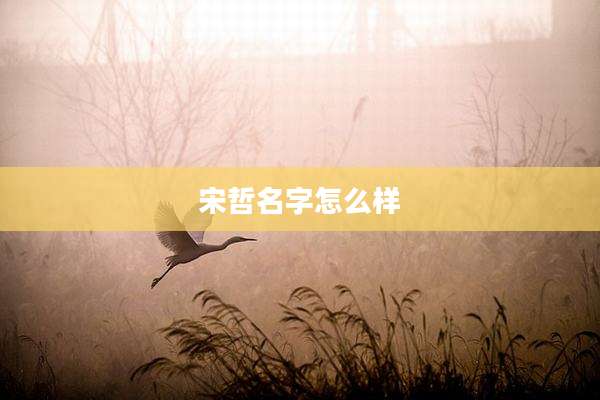 宋哲名字怎么样