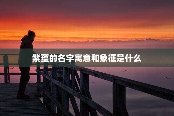 紫蕴的名字寓意和象征是什么