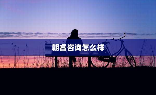 朝睿咨询怎么样