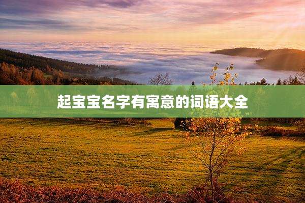 起宝宝名字有寓意的词语大全