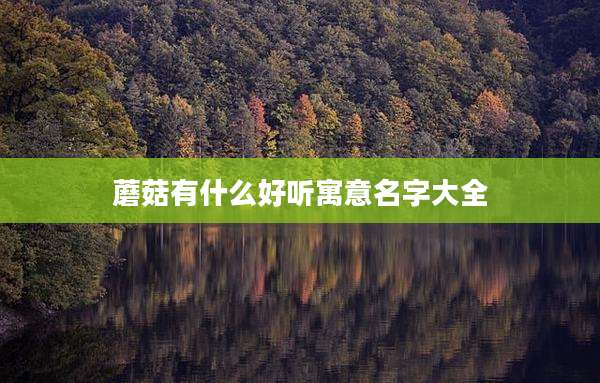 蘑菇有什么好听寓意名字大全