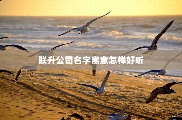 联升公司名字寓意怎样好听