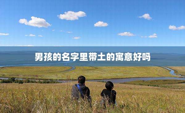 男孩的名字里带土的寓意好吗